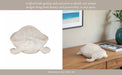 resin-15-turtle-deco-white-11