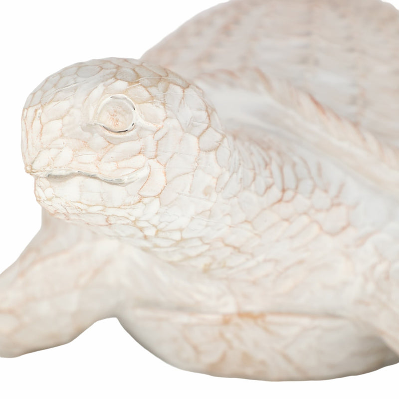 resin-15-turtle-deco-white-5