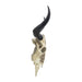 resin-28-bull-skull-wall-accent-ivory-black-kd-3