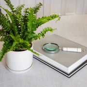 resin-4-magnifying-glass-ivory-8
