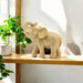 resin-7-elephant-table-accent-gold-7