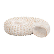resin-7-h-shell-table-accent-white-5