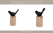 resin-9-bird-perched-on-log-black-brown-15
