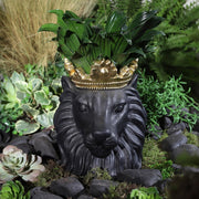 resin-9-lion-w-crown-black-3