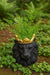 resin-9-lion-w-crown-black-4