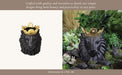 resin-9-lion-w-crown-black-5