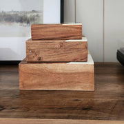 resin-s-3-6-7-9-mid-century-boxes-multi-12