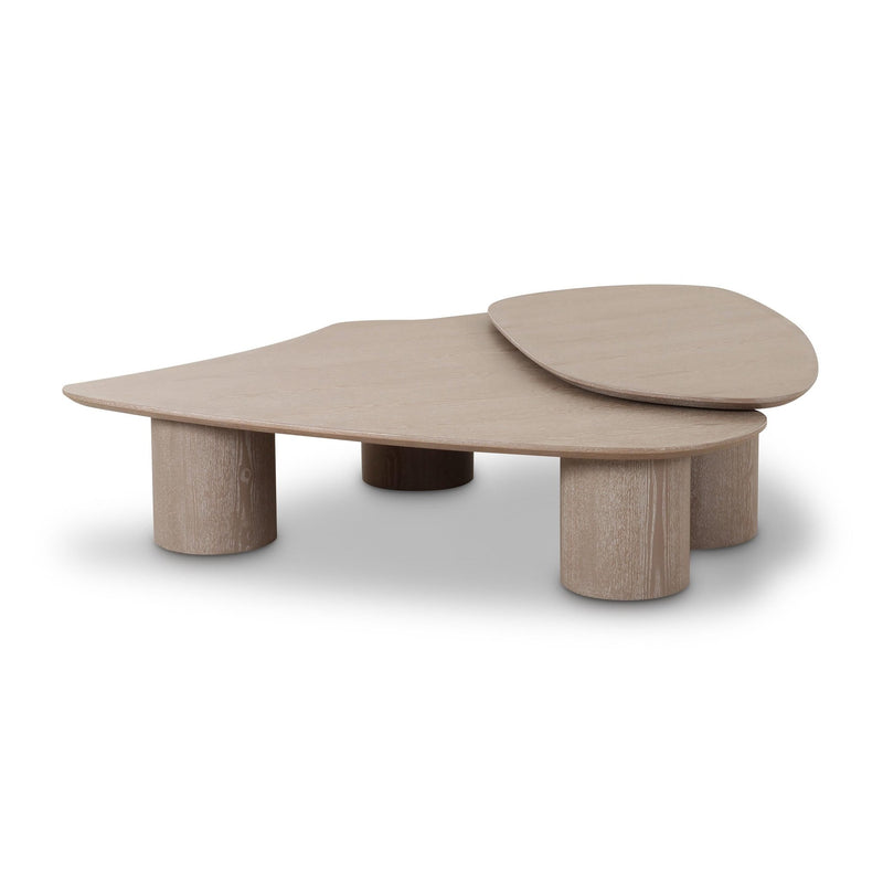 rhema-washed-ash-oblong-coffee-table-1