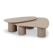 rhema-washed-ash-oblong-coffee-table-5