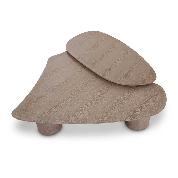 rhema-washed-ash-oblong-coffee-table-9