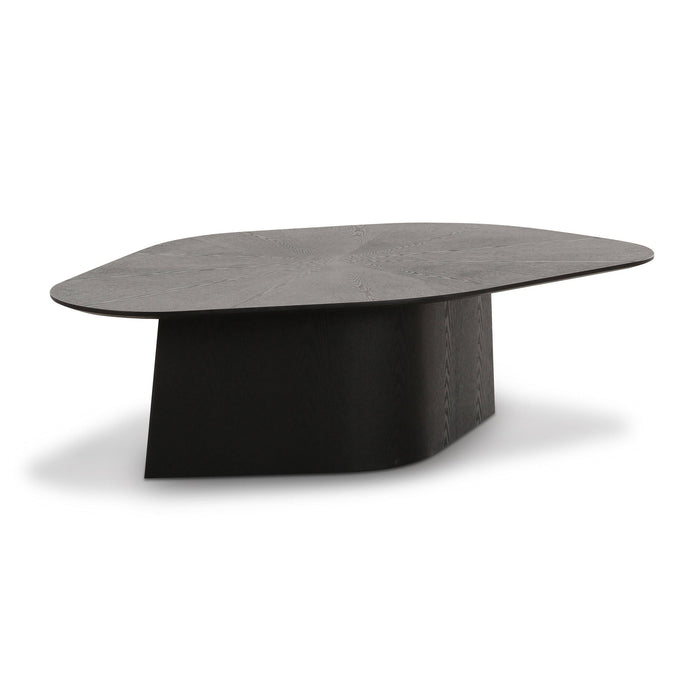roche-black-ash-geometric-coffee-table-1
