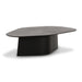 roche-black-ash-geometric-coffee-table-1