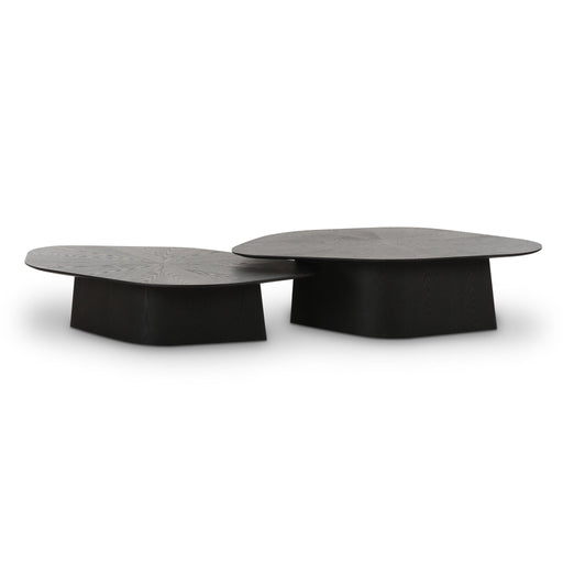 roche-black-ash-low-coffee-table-1