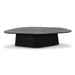 roche-black-ash-low-coffee-table-6