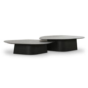 roche-black-ash-nesting-coffee-table-set-3