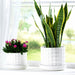 s-2-10-12-bubble-planter-white-10