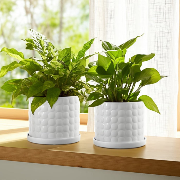 s-2-10-12-bubble-planter-white-11