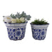 s-2-10-12-chinoiserie-pot-planters-blue-wht-2