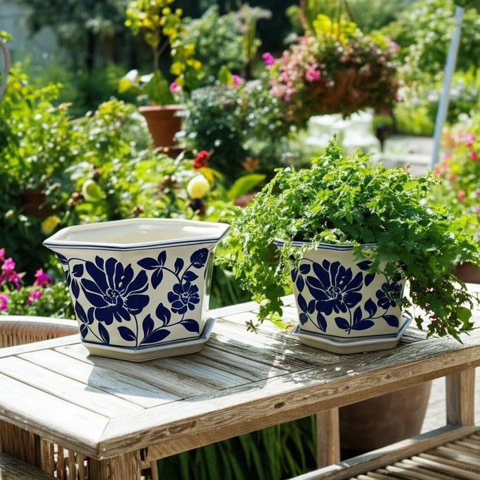 s-2-10-12-chinoiserie-saucer-planter-blue-white-10