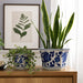 s-2-10-12-chinoiserie-saucer-planter-blue-white-11