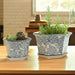 s-2-10-12-chinoiserie-saucer-planter-blue-white-11