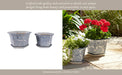s-2-10-12-chinoiserie-saucer-planter-blue-white-12