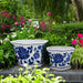 s-2-10-12-chinoiserie-saucer-planter-blue-white-12