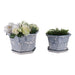s-2-10-12-chinoiserie-saucer-planter-blue-white-2