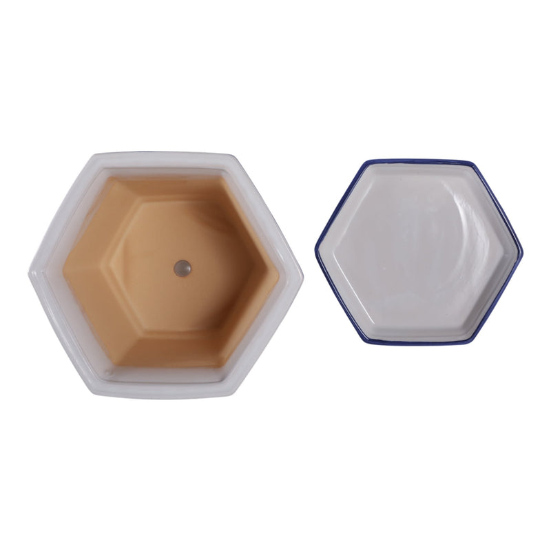 s-2-10-12-chinoiserie-saucer-planter-blue-white-6