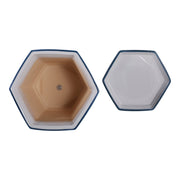 s-2-10-12-chinoiserie-saucer-planter-blue-white-6