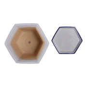 s-2-10-12-chinoiserie-saucer-planter-blue-white-6