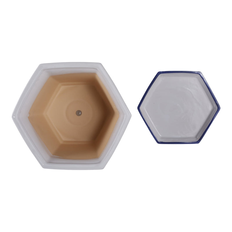 s-2-10-12-chinoiserie-saucer-planter-blue-white-6