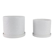 s-2-10-12-daisy-flower-planter-white-3