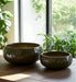 s-2-10-12-iridescent-bowl-planters-green-10