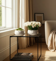 s-2-10-12-iridescent-bowl-planters-white-10