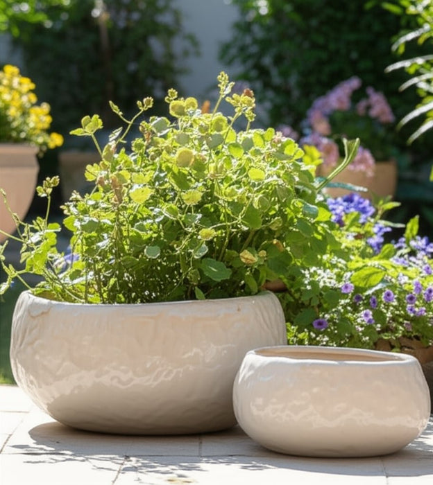 s-2-10-12-iridescent-bowl-planters-white-12