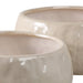 s-2-10-12-iridescent-bowl-planters-white-5