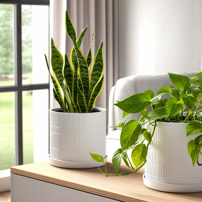 s-2-10-12-line-textured-planter-white-10