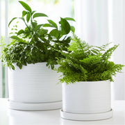 s-2-10-12-modern-planter-white-11