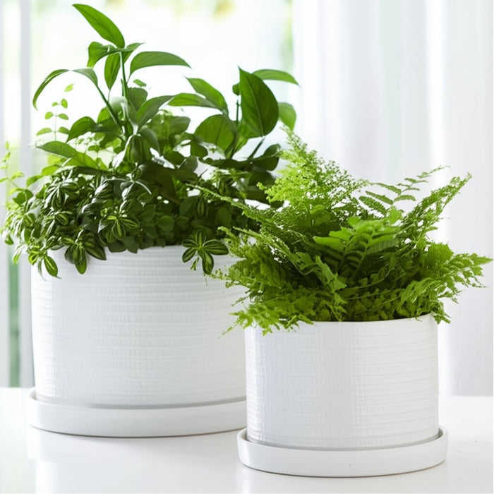 s-2-10-12-modern-planter-white-11