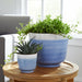 s-2-10-12-reactive-glazed-planters-baby-blue-11
