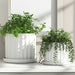 s-2-10-12-ribbed-planter-white-11