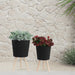 s-2-10-12-ridged-planter-w-wood-legs-black-kd-10