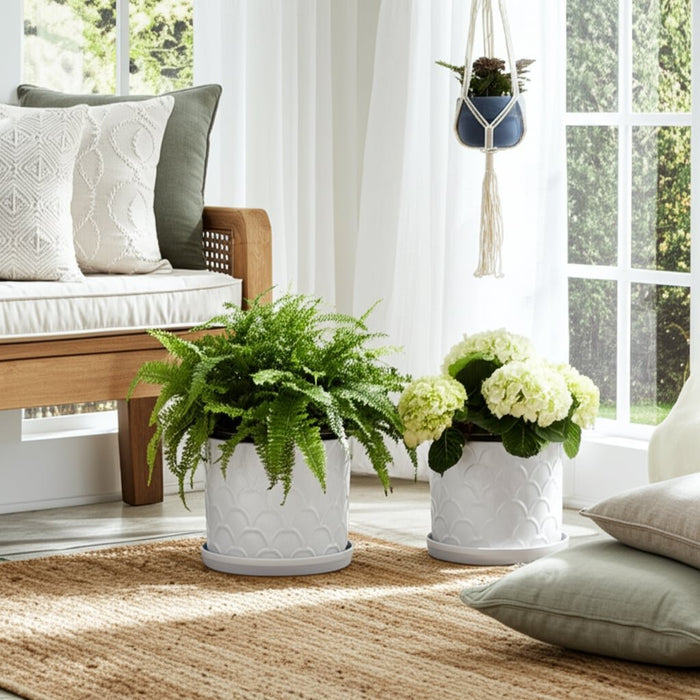 s-2-10-12-scallop-planter-white-10