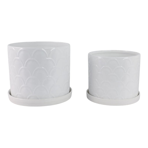 s-2-10-12-scallop-planter-white-1