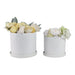 s-2-10-12-scallop-planter-white-2