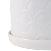 s-2-10-12-scallop-planter-white-5