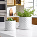 s-2-10-12-small-bubble-planter-white-10