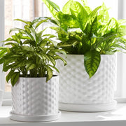 s-2-10-12-small-bubble-planter-white-11