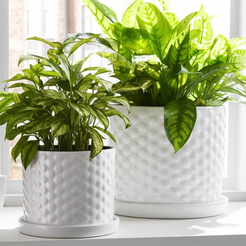 s-2-10-12-small-bubble-planter-white-11